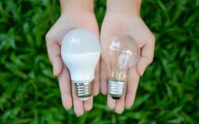 Smaltimento Lampadine e Neon Esausti Cercemaggiore
